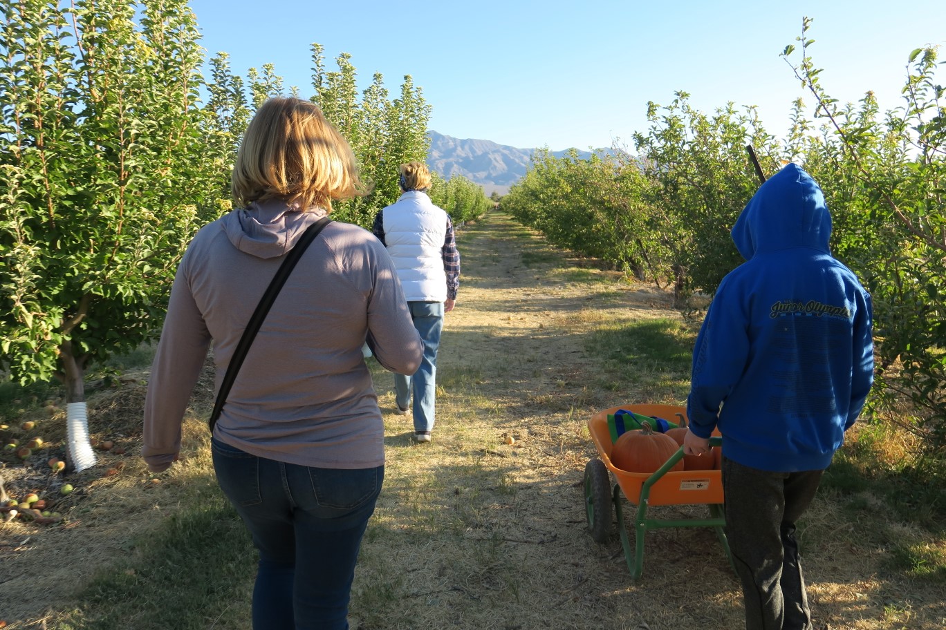 14-time_to_pick_some_apples