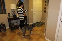17-Kenny_ready_to_handout_more_treats-Rainier_really_wants_to_help