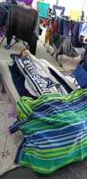 30-taking_a_nap_and_all_bundled_up-chilly_afternoon