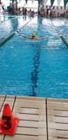 23-swimming_breaststroke_portion_of_IM