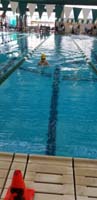 26-swimming_butterfly_portion_of_IM