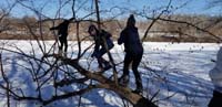 36-kids_climb_on_a_tree