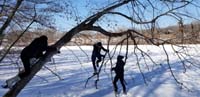 38-having_fun_climbing_from_a_tree