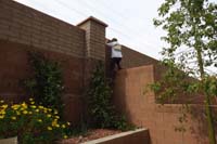 43-Kenny_finally_realizes_he_can_climb_the_wall_behind_the_house-it_was_easy