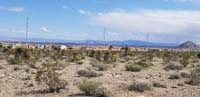 15-due_to_lockdown(mostly),less_traffic,thus_less_pollution-great_clear_views_of_valley_and_Strip