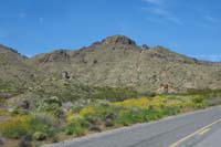 05-heading_back-pretty_scenery_including_wildflowers