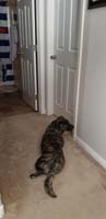 11-9am-Rainier_is_worried_and_wondering_when_Kenny_is_going_to_wake_up