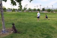 21-bocce_ball-Rainier_happy_to_watch_the_world_go_by