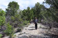 05-hiking_on_that_connector_trail