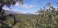 09-scenery_along_the_trail