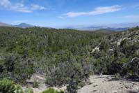 11-scenery_along_the_trail