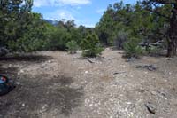 13-darn,I_didn't_notice_this_trail_before,need_sign-Mud