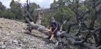 15-Kenny_sitting_on_a_downed_tree_trunk