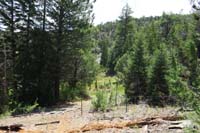 19-wetland_area_for_Mud_Springs