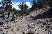 24-defined_usage_trail,steeper_and_.6_miles_shorter_than_actual_trail
