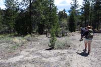 30-approaching_Mud_Springs_area_as_defined_by_barbed_wire_fence