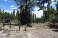 31-barbed_wire_fence_protecting_more_abundant_vegetation