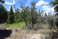 34-Mud_Springs_area