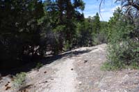 37-looking_back_to_steep_part_of_trail-we_had_lunch_by_Mud_Spring