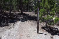 39-quality_wilderness_post,might_as_well_put_Mud_Springs_sticker_and_directional_arrow_on_both_sides