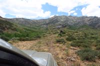 01-driving_up_dirt_road_to_explore_some_beaver_dams-2pm-finally_got_off_our_asses_to_explore