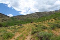 03-this_place_will_look_amazing_in_the_fall-lots_of_aspens