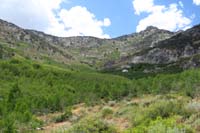 05-amazing_aspen_groves-will_look_beautiful_in_fall