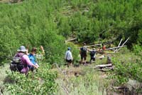 06-heading_down_to_the_stream_to_check_out_a_small_beaver_dam