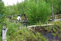 08-top_of_the_beaver_dam