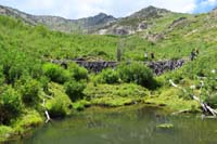 16-kids_on_a_big_beaver_dam-people_help_to_provide_perspective