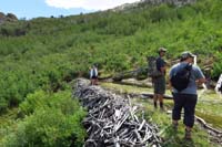 17-surface_of_the_large_beaver_dam