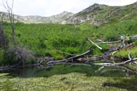 18-pond_created_by_that_massive_beaver_dam