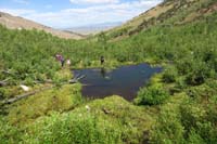 19-pond_created_by_that_massive_beaver_dam
