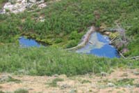 26-massive_beaver_dams_and_ponds