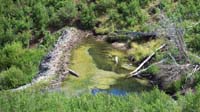 27-massive_beaver_dam_and_pond-sun_came_out_providing_good_light