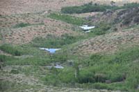 29-more_beaver_dams_downstream_in_the_distance