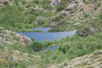 30-more_beaver_dams