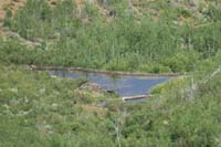 31-more_beaver_dams