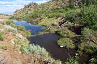 45-pond_created_by_a_beaver_dam