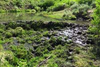 50-another_beaver_dam_and_pond