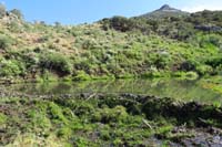 51-beaver_dam_and_pond