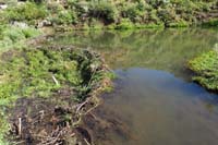 52-beaver_dam_and_pond