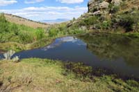 54-beaver_dam_and_pond