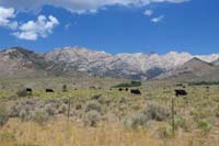 001-Ruby_Mountains_as_we_drive_away_heading_south