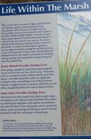 010-Interpretive_Sign-Life_Within_the_Marsh