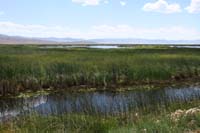 013-marshland_scenery