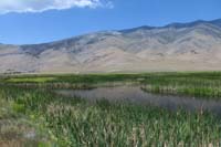 014-marshland_scenery