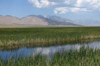 015-marshland_scenery