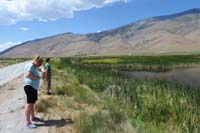 016-admiring_the_marsh_and_birds