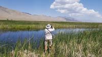 020-Daddy_taking_pictures_of_the_birds